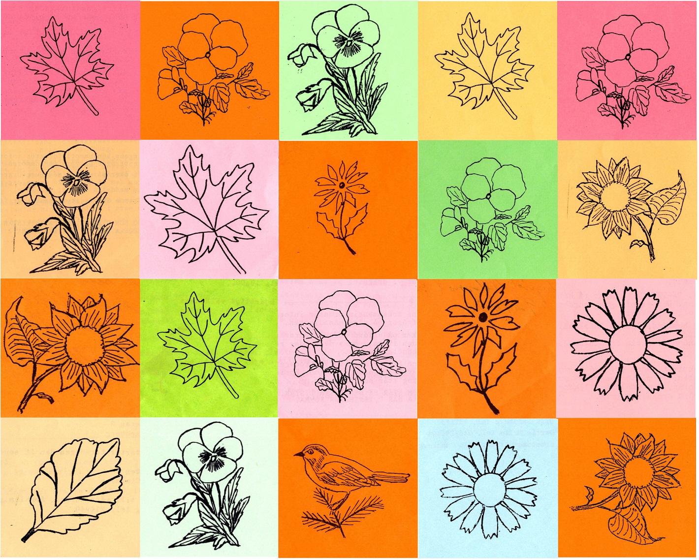 Digitalt kollage av Fosie Husmodersförenings handtecknade blommor Digitalt kollage av Fosie Husmodersförenings handtecknade blommor