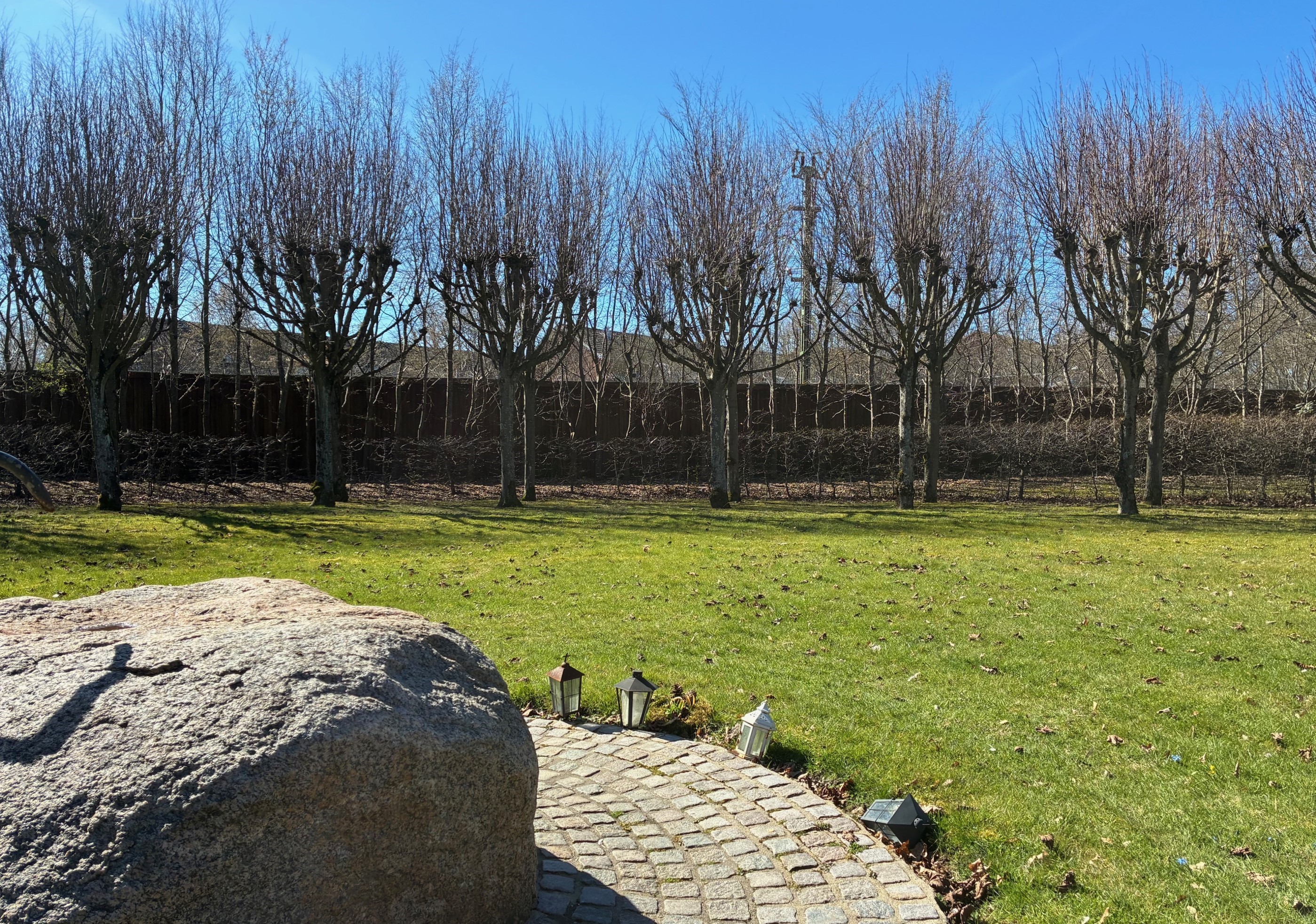 Djurens minneslund i Kaprifolieparken, Lund. Foto: Johanna Nessow 2025