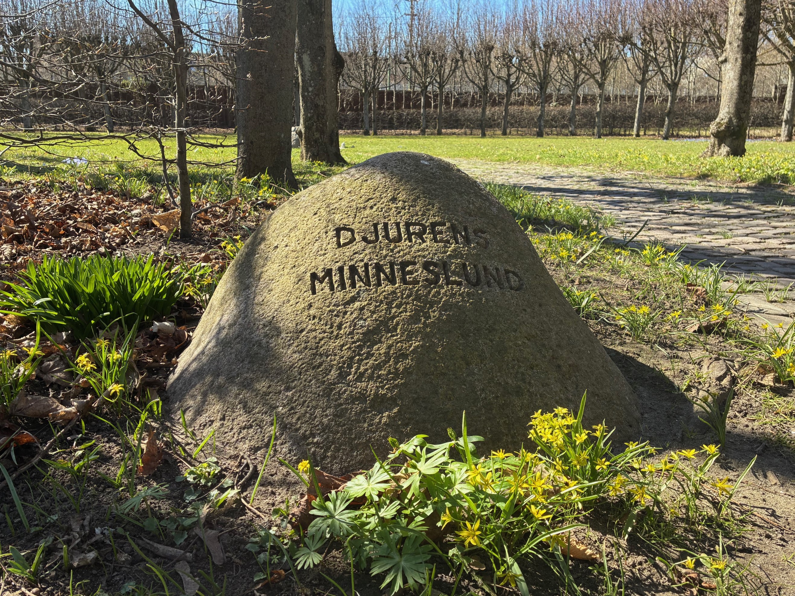 Djurminneslunden i Kaprifolieparken i Lund. Foto: Johanna Nessow 2025.
