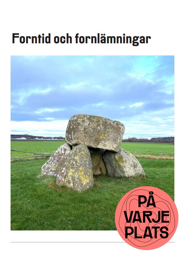 Lärarhandledning: Forntid och fornlämningar